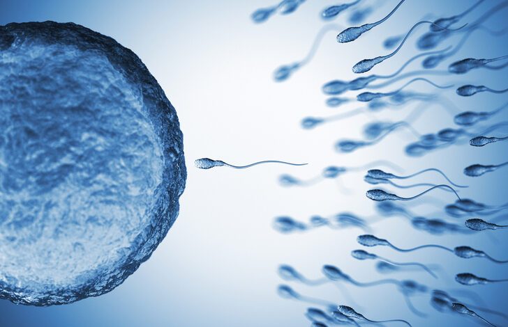Sperm sayısını artırmak mümkün! İşte 9 yöntemle sperm sayısını artırmanın yolları