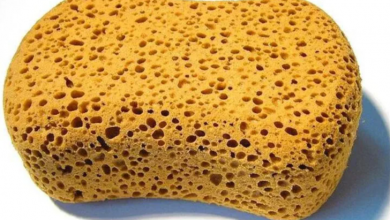 Tripofobi nedir? Tripofobi neden olur? Tripofobi tedavisi var mı?