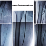 2742178_1230494165 Uzm. Dr. Ayhan Şenol