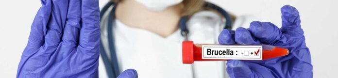 Brusella Nedir? Brusella Belirtileri Nelerdir?