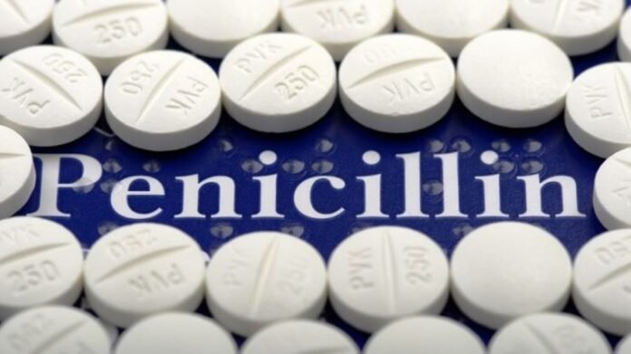 Penisilin